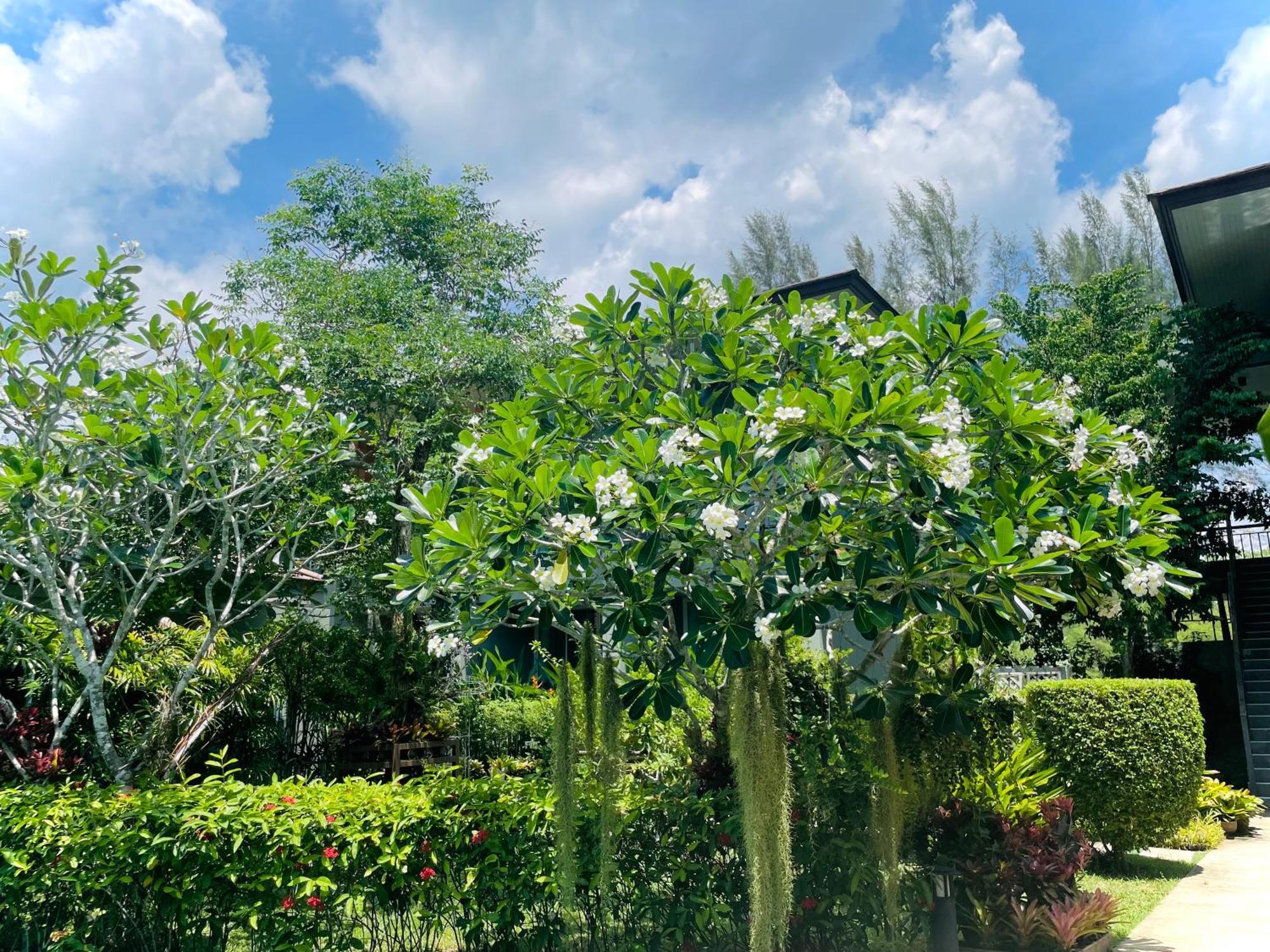 Khaolak Forest Resort Khao Lak Ngoại thất bức ảnh
